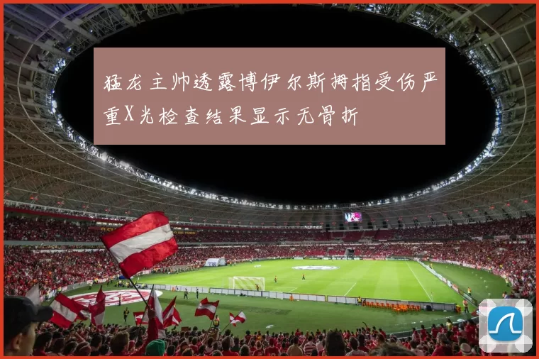 猛龙主帅透露博伊尔斯拇指受伤严重X光检查结果显示无骨折